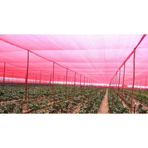 85% Red Shade Cloth - 21' Wide